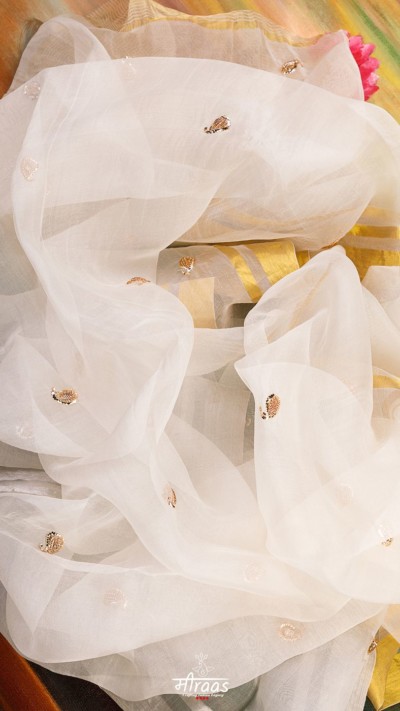 Golden Trellis Mukaish Pinecone Kairi Organza Dupatta