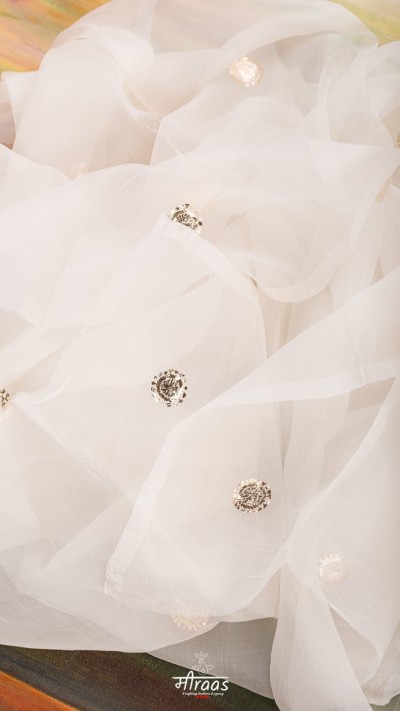 Golden Trellis Mukaish Swarna Chakra Organza Dupatta